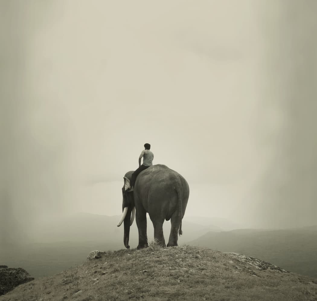 You are currently viewing பென் ஸ்டூடியோஸ் ஜெயந்திலால் காடா தயாரிப்பில், பிரபு சாலமன் இயக்கத்தில் “கும்கி 2”;