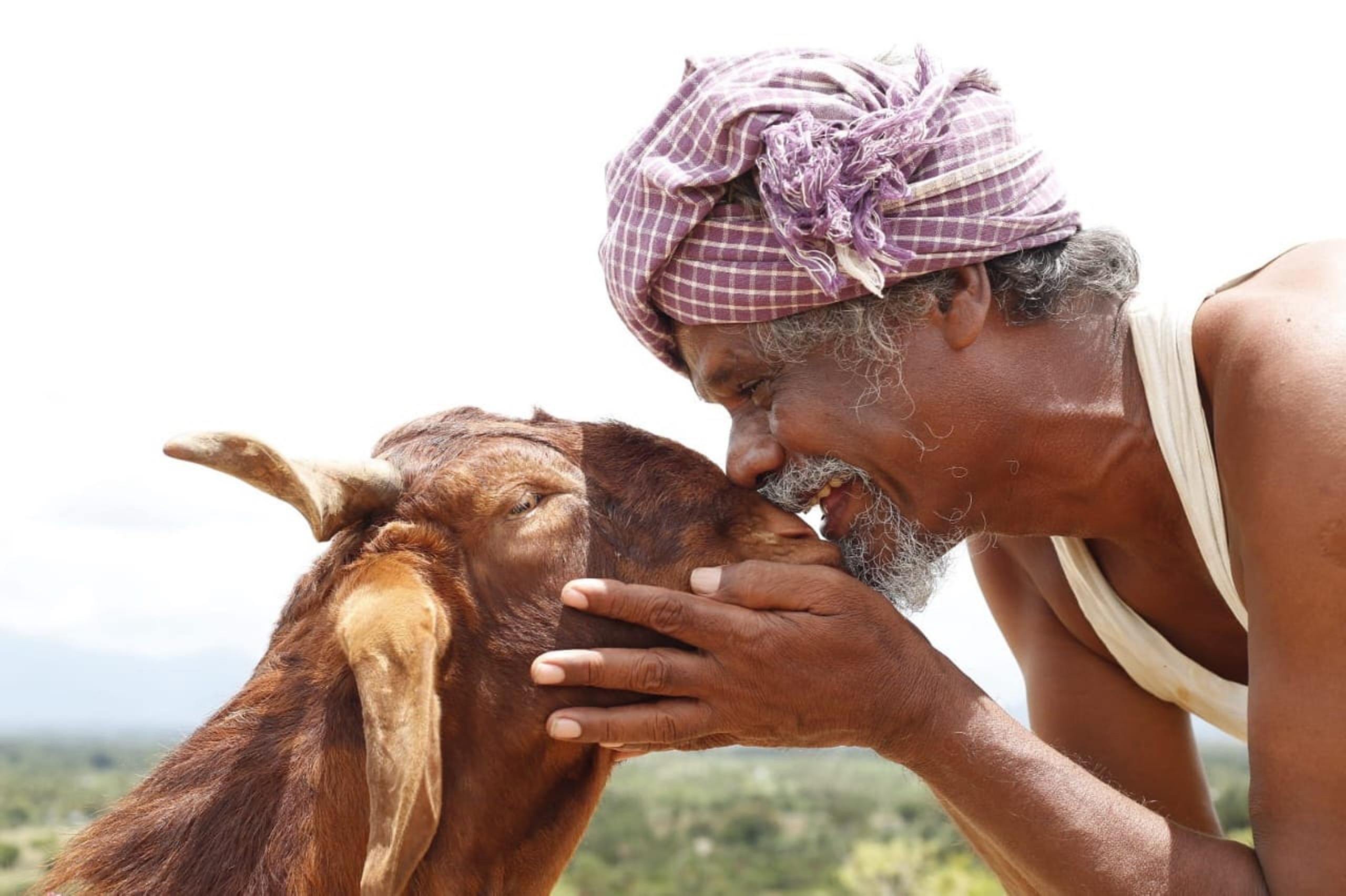 Read more about the article Ondimuniyum Nallapadanum Tamil Movie Review: