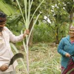 Noorusami Tamil Movie Review: A Wedding Journey Longer Than the Wedding