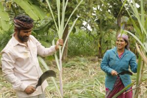 Read more about the article Noorusami Tamil Movie Review: A Wedding Journey Longer Than the Wedding