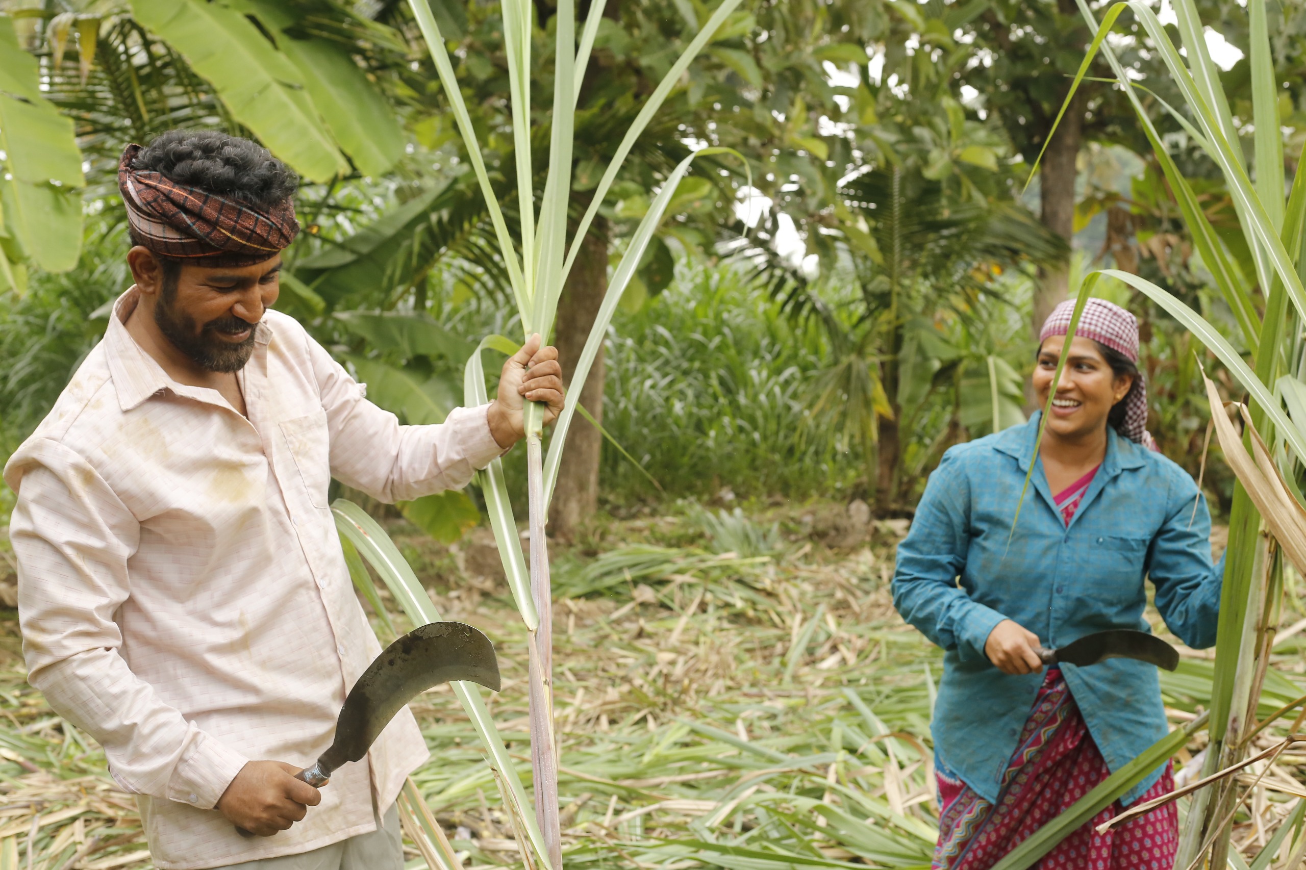 You are currently viewing Noorusami Tamil Movie Review: A Wedding Journey Longer Than the Wedding